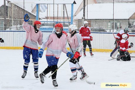 IV Хоккейный турнир, посвященный Дню Защитника Отечества - 2013