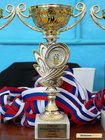 Открытый чемпионат ШГПИ по самбо