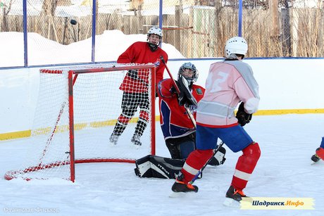 VII Областной хоккейный турнир, посвященный Дню защитника Отечества