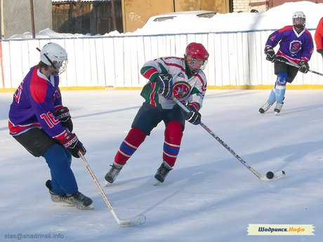 Хоккейный турнир, посвященный Дню Защитника Отечества