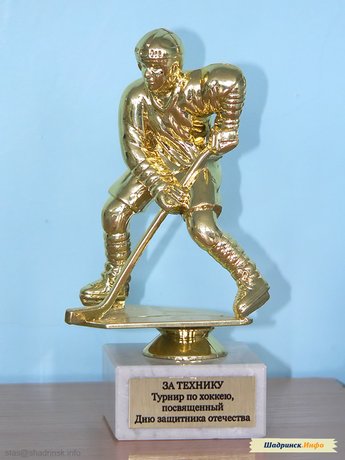 Награждение. Хоккейный турнир, посвященный Дню Защитника Отечества
