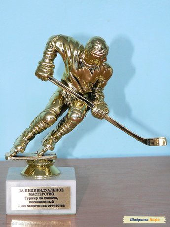 Награждение. Хоккейный турнир, посвященный Дню Защитника Отечества
