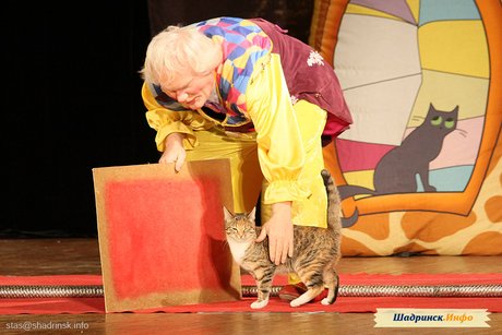 Театр кошек Ю. Куклачева «Мои любимые кошки»