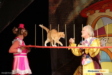 Театр кошек Ю. Куклачева «Мои любимые кошки»