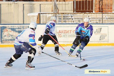 Чемпионат Курганской области по хоккею 2012-2013
