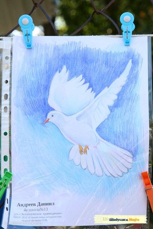 Выставка «Любовь и голуби»
