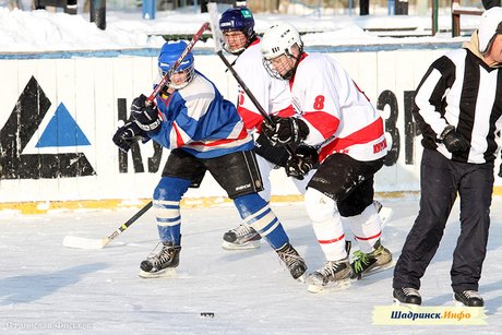 VI Областной хоккейный турнир, посвященный Дню защитника Отечества