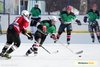 Завершился VIII хоккейный турнир, посвящённый Дню защитника Отечества