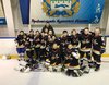 Шадринские хоккеисты поедут на финал в Сочи