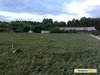 Искусственное футбольное поле в Шадринске